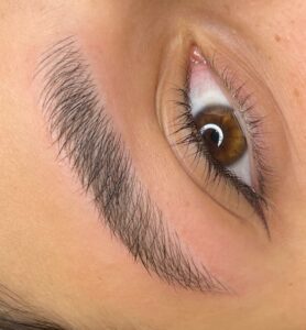 WhatsApp Image 2025-10-12 at 07.51.39