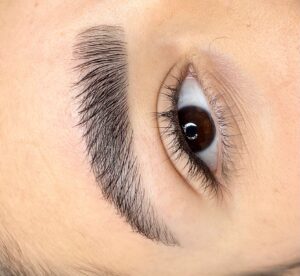 WhatsApp Image 2025-10-12 at 23.49.15 (1)